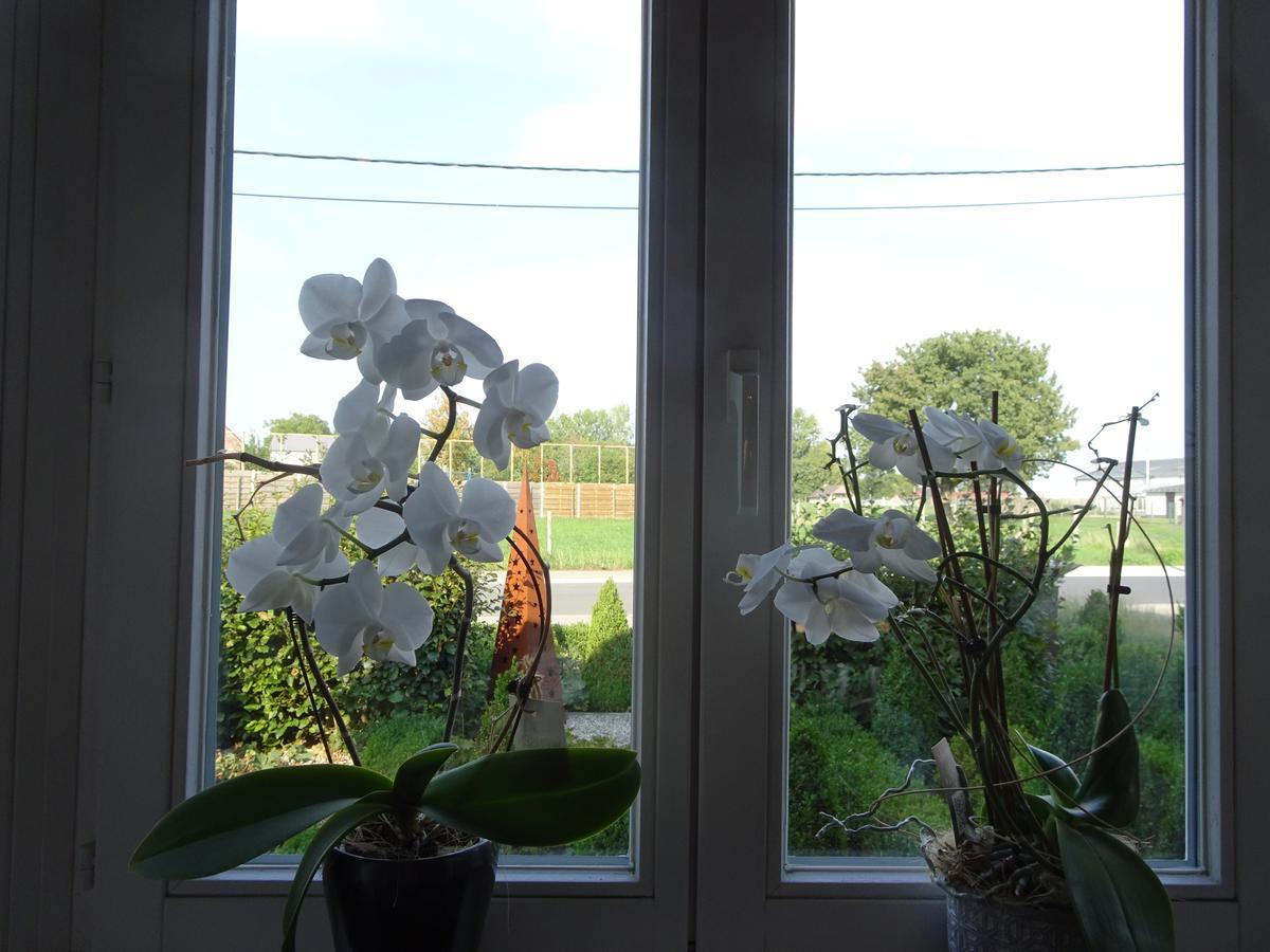 Chalet Buistemberg Villa Brakel Kültér fotó